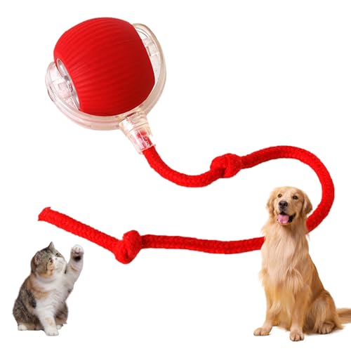 SUHYUNJANGM Chew Viral Rolling Dog Ball - Interaktives intelligentes Haustierspielzeug für Hunde & Katzen (rot) von SUHYUNJANGM