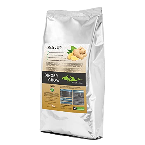 Koifutter Ginger Grow Ingwer Kartoffel Spirulina + Immun für Koi Fisch Futter (Ingwer - Kartoffel - Spirulina, 2kg) von SUI JIN Teichprodukte