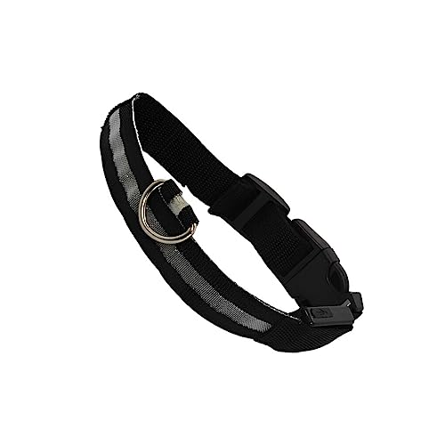 SUIOPPYUW Haustier Halsband LED Wiederaufladbare Unfall Anti Verlust Lichter Tiere Halsbänder Sicherheitsaktivitäten USB Aufladung für Tag und Nacht, Batterie Weiß, L SUIOPPYUW Haustier Halsband LED Wiederaufladbare Unfall Anti Verlust Lichter Tiere Halsbänder Sicherheitsaktivitäten USB Aufladung für Tag und Nacht, Batterie Weiß, L von SUIOPPYUW