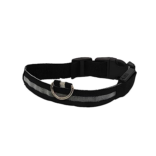 SUIOPPYUW Haustier Halsband LED Wiederaufladbare Unfall Anti Verlust Lichter Tiere Halsbänder Sicherheitsaktivitäten USB Aufladung für Tag und Nacht, Wiederaufladbar Weiß, XS SUIOPPYUW Haustier Halsband LED Wiederaufladbare Unfall Anti Verlust Lichter Tiere Halsbänder Sicherheitsaktivitäten USB Aufladung für Tag und Nacht, Wiederaufladbar Weiß, XS von SUIOPPYUW
