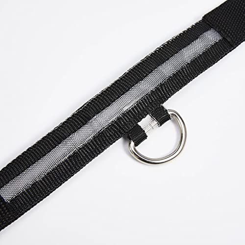 SUIOPPYUW Haustier Halsband LED Wiederaufladbare Unfall Anti Verlust Lichter Tiere Halsbänder Sicherheitsaktivitäten USB Aufladung für Tag und Nacht, Wiederaufladbares Rosa, L SUIOPPYUW Haustier Halsband LED Wiederaufladbare Unfall Anti Verlust Lichter Tiere Halsbänder Sicherheitsaktivitäten USB Aufladung für Tag und Nacht, Wiederaufladbares Rosa, L von SUIOPPYUW