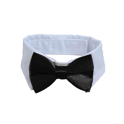 SUIOPPYUW Hundefliege, Exquisite Verarbeitung, Welpen Krawatte, stilvolle, Elegante Dekoration, Katzenhalsband, Heimtierbedarf für Geburtstagsfeiern, Schwarz, L SUIOPPYUW Hundefliege, Exquisite Verarbeitung, Welpen Krawatte, stilvolle, Elegante Dekoration, Katzenhalsband, Heimtierbedarf für Geburtstagsfeiern, Schwarz, L von SUIOPPYUW