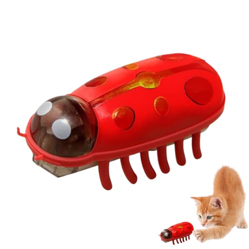 SUIOPPYUW Mini Käfer Spielzeug, lustiges Haustier, interaktives Kakerlaken Spiel für Katzen, Kakerlaken Spiel, Ersatz Kakerlake, ABS Affengang Spiel, D SUIOPPYUW Mini Käfer Spielzeug, lustiges Haustier, interaktives Kakerlaken Spiel für Katzen, Kakerlaken Spiel, Ersatz Kakerlake, ABS Affengang Spiel, D von SUIOPPYUW