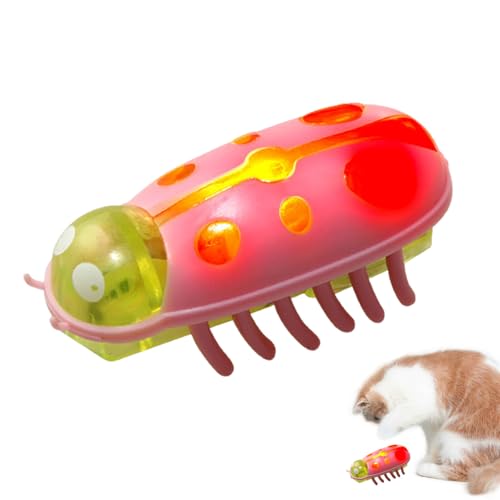SUIOPPYUW Mini Käfer Spielzeug, lustiges Haustier, interaktives Kakerlaken Spiel für Katzen, Kakerlaken Spiel, Ersatz Kakerlake, ABS Affengang Spiel, E SUIOPPYUW Mini Käfer Spielzeug, lustiges Haustier, interaktives Kakerlaken Spiel für Katzen, Kakerlaken Spiel, Ersatz Kakerlake, ABS Affengang Spiel, E von SUIOPPYUW
