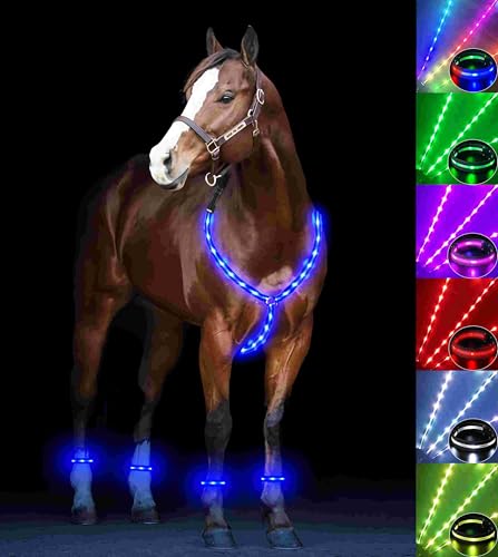 LED-Pferde-Brustpanzerhalsband und Pferdebeinband, beleuchtetes Pferdezaumzeug-Set, wiederaufladbar über USB, LED-Pferdegeschirr und Beingurt, zusätzliche Sichtbarkeit und Sicherheit beim Reiten bei LED-Pferde-Brustpanzerhalsband und Pferdebeinband, beleuchtetes Pferdezaumzeug-Set, wiederaufladbar über USB, LED-Pferdegeschirr und Beingurt, zusätzliche Sichtbarkeit und Sicherheit beim Reiten bei von SUKEYME