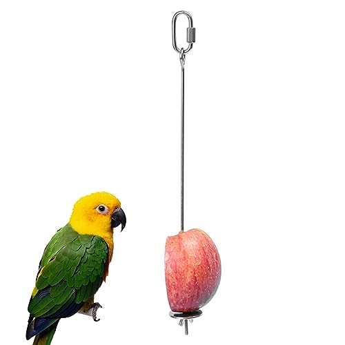 SULIUDAJI 1 Stück Papageien-Spieß, Edelstahl Vogel Lebensmittelbehälter Obst Gemüse Halter Futtersuche Spielzeug Sittiche für Papageien von SULIUDAJI