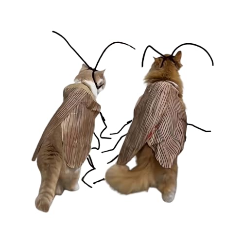 Katzen-Kakerlake Kleidung DIY-Kit Lustiges Kätzchen Cape Craft Set mit Flügeln und Antenne Cosplay Halloween Party Dekoration für Katze und kleinen Hund von SUMKTO