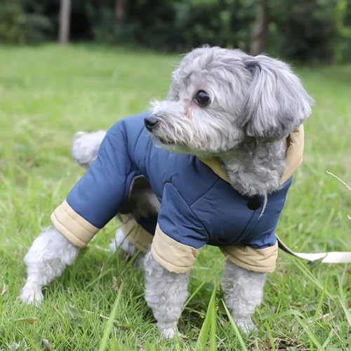 Haustier Wintermantel Für Hunde 4-Legs Hundewinddicht Gepolsterter Mantel Mit Leinenhaken Warm Dicker Liner Kleine Hunde Freien Outfit Größe Hund Kaltes Wetter Haustier Wintermantel Für Hunde 4-Legs Hundewinddicht Gepolsterter Mantel Mit Leinenhaken Warm Dicker Liner Kleine Hunde Freien Outfit Größe Hund Kaltes Wetter von SUMMITDRAGON