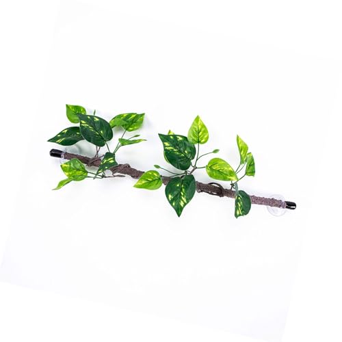 Künstliche Reptilien Pflanze Zum Klettern Von Versteck Terrarium Plastik Dschungel False Rebe Amphibien Habitat Ornamente Realistischer Baumzweige Für Terrarien Künstliche Reptilien Pflanze Zum Klettern Von Versteck Terrarium Plastik Dschungel False Rebe Amphibien Habitat Ornamente Realistischer Baumzweige Für Terrarien von SUMMITDRAGON
