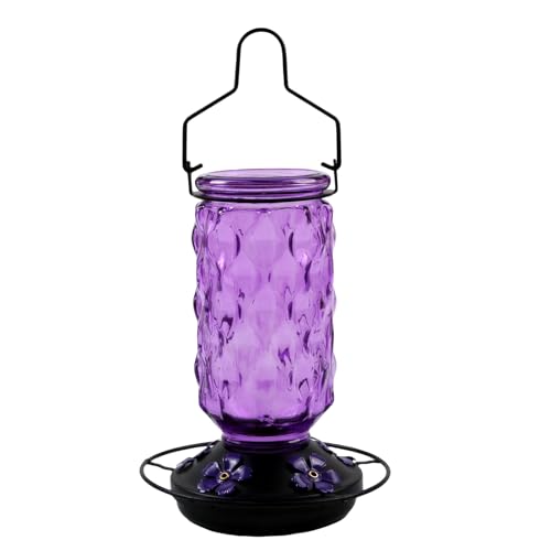 Outdoor Hanging Bird Feeder Rote Kolibri Mit 5 Fütterungshäfen Easy Cleaning Garden Gartenfarbe Farbe Kolibri Summingbird Outdoor Hanging Bird Feeder Rote Kolibri Mit 5 Fütterungshäfen Easy Cleaning Garden Gartenfarbe Farbe Kolibri Summingbird von SUMMITDRAGON