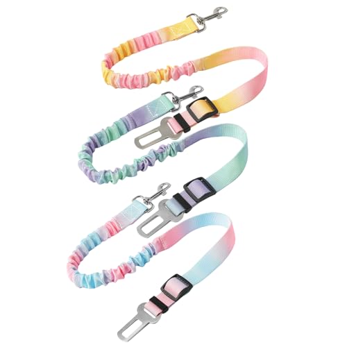 SUMMITDRAGON 3 x Haustier-Leinen, Fesseln, Hundegeschirr für Hunde, schwerer Nylon-Gürtel für Hunde, Reise-Haustierzubehör SUMMITDRAGON 3 x Haustier-Leinen, Fesseln, Hundegeschirr für Hunde, schwerer Nylon-Gürtel für Hunde, Reise-Haustierzubehör von SUMMITDRAGON
