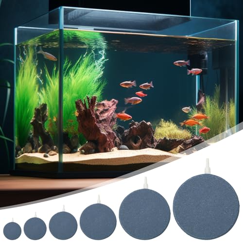 SUMMITDRAGON Luftblasenstein Aquarien Luftköpfe Pumpen Luftsteinhydroponische Oxygenplatte Zur Verbesserung Der Wasserzirkulation Fischtanks Sauerstoffmaterial von SUMMITDRAGON