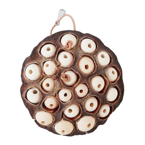 SUMMITDRAGON Nature Seedpods Vogel Spielzeug Vogelkäfig Hängen Zerrissener Hutspielzeugkäfigzubehör Grusbel Kautkäffable Maas von SUMMITDRAGON
