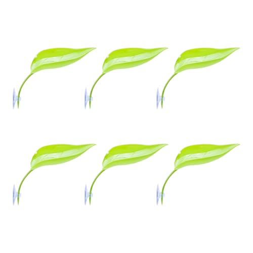 SUMMITDRAGON Schildkröten Backen Plattform 6pcs Baumfrösche Tanks Zubehör Blattform Bärtige Drachenplattform Saugnäpfe Ruhige Blätter Schildkröten Klingen SUMMITDRAGON Schildkröten Backen Plattform 6pcs Baumfrösche Tanks Zubehör Blattform Bärtige Drachenplattform Saugnäpfe Ruhige Blätter Schildkröten Klingen von SUMMITDRAGON