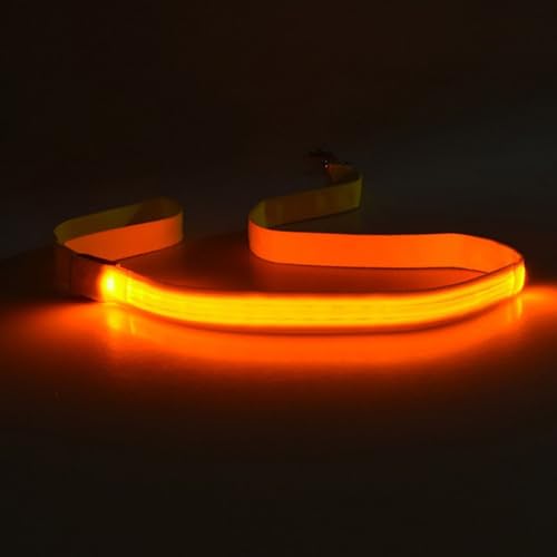 Set Von 4 LED Hundeleine Wiederaufladbare Wasserdicht von SUMMITDRAGON