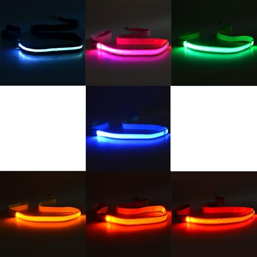 Set Von 4 LED Hundeleine Wiederaufladbare Wasserdicht von SUMMITDRAGON