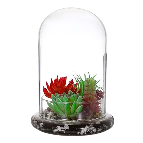 SUMTree Glasglocke mit 3 mm Luftloch, transparenter Terrarium-Pflanzgefäß mit Glasboden, Anzuchtstation für Kakteen, Sukkulenten, Venusfliegenfalle, fleischfressende Pflanzen SUMTree Glasglocke mit 3 mm Luftloch, transparenter Terrarium-Pflanzgefäß mit Glasboden, Anzuchtstation für Kakteen, Sukkulenten, Venusfliegenfalle, fleischfressende Pflanzen von SUMTree