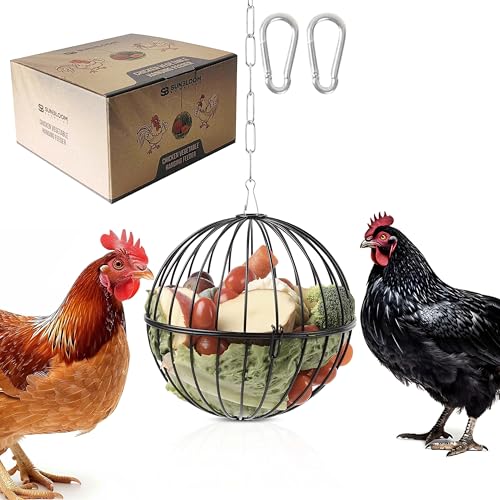 Hängender Hühner-Futterspender – 18 cm, schwarz, verbesserte verstellbare Kette zum Aufhängen, 60 cm, Hühneranreicherung, Geflügel-Futterspender, großer stabiler Eisen-Gemüse-Leckerli-Ball von SUNBLOOM SUPPLIES