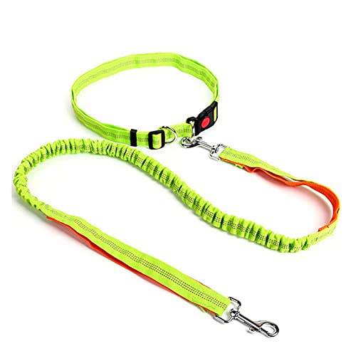 Zugseil für Haustiere Einziehbare Hundeleine mit Verstellbarer Taille Seil Lauf Jogging Radfahren Walking Dog Pet Supplies Zubehör Hundeleine für Welpen (Color : 05) von SUNESA