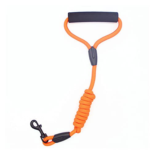 Zugseil für Haustiere Hundeleine Kragensitzgürtel personalisierte laufende Katze Haustiere Leinen Seil Nylon Harness Kabelbaum for Chihuahua 7 Farben 4 Größen Hundeleine für Welpen (Color : Oranje, Zugseil für Haustiere Hundeleine Kragensitzgürtel personalisierte laufende Katze Haustiere Leinen Seil Nylon Harness Kabelbaum for Chihuahua 7 Farben 4 Größen Hundeleine für Welpen (Color : Oranje, von SUNESA