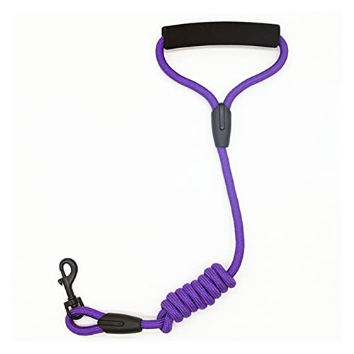 Zugseil für Haustiere Hundeleine Kragensitzgürtel personalisierte laufende Katze Haustiere Leinen Seil Nylon Harness Kabelbaum for Chihuahua 7 Farben 4 Größen Hundeleine für Welpen (Color : Purple, Zugseil für Haustiere Hundeleine Kragensitzgürtel personalisierte laufende Katze Haustiere Leinen Seil Nylon Harness Kabelbaum for Chihuahua 7 Farben 4 Größen Hundeleine für Welpen (Color : Purple, von SUNESA