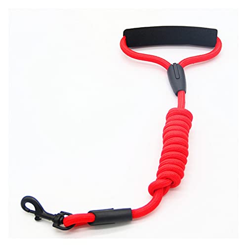 Zugseil für Haustiere Hundeleine Kragensitzgürtel personalisierte laufende Katze Haustiere Leinen Seil Nylon Harness Kabelbaum for Chihuahua 7 Farben 4 Größen Hundeleine für Welpen (Color : Rood, SI Zugseil für Haustiere Hundeleine Kragensitzgürtel personalisierte laufende Katze Haustiere Leinen Seil Nylon Harness Kabelbaum for Chihuahua 7 Farben 4 Größen Hundeleine für Welpen (Color : Rood, SI von SUNESA