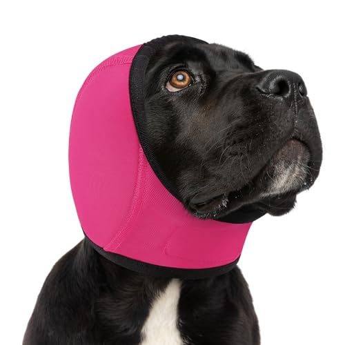 SUNFURA Beruhigender Hunde-Kapuzenpullover – Angstlinderung, leise Ohren für Hunde, Haustier-Ohrenschutz, geräuschschutz, kein Schütteln, Katzenkopfwickel, Hämatom zur Fellpflege, Trocknen, Bad, Hot SUNFURA Beruhigender Hunde-Kapuzenpullover – Angstlinderung, leise Ohren für Hunde, Haustier-Ohrenschutz, geräuschschutz, kein Schütteln, Katzenkopfwickel, Hämatom zur Fellpflege, Trocknen, Bad, Hot von SUNFURA