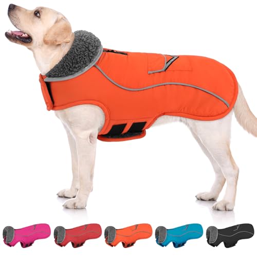 SUNFURA Hunde-Wintermantel, mittelgroße Hundejacke, reflektierende Hundejacke mit Fleecefutter für kaltes Wetter, warme Hundepufferjacke, Rollkragen, Hunde-Schneeanzug mit Loch für die Leine, Größe M, SUNFURA Hunde-Wintermantel, mittelgroße Hundejacke, reflektierende Hundejacke mit Fleecefutter für kaltes Wetter, warme Hundepufferjacke, Rollkragen, Hunde-Schneeanzug mit Loch für die Leine, Größe M, von SUNFURA