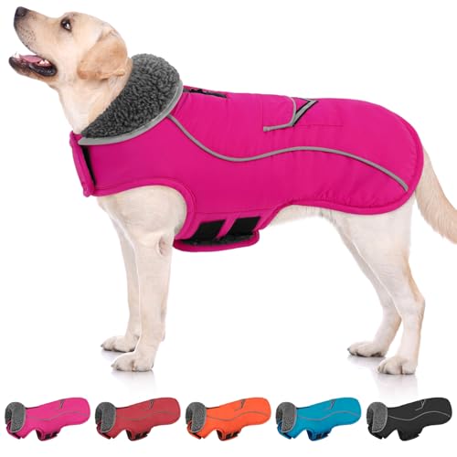 SUNFURA Hunde-Wintermantel, mittelgroße Hundejacke, reflektierende Hundejacke mit Fleecefutter für kaltes Wetter, warme Hundepufferjacke, Rollkragen, Hunde-Schneeanzug mit Loch für die Leine, Größe M, SUNFURA Hunde-Wintermantel, mittelgroße Hundejacke, reflektierende Hundejacke mit Fleecefutter für kaltes Wetter, warme Hundepufferjacke, Rollkragen, Hunde-Schneeanzug mit Loch für die Leine, Größe M, von SUNFURA