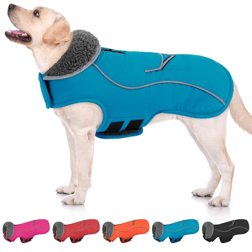 SUNFURA Hunde-Wintermantel, mittelgroße Hundejacke, reflektierende Hundejacke mit Fleecefutter für kaltes Wetter, warme Hundepufferjacke, Rollkragen, Hunde-Schneeanzug mit Loch für die Leine, für SUNFURA Hunde-Wintermantel, mittelgroße Hundejacke, reflektierende Hundejacke mit Fleecefutter für kaltes Wetter, warme Hundepufferjacke, Rollkragen, Hunde-Schneeanzug mit Loch für die Leine, für von SUNFURA