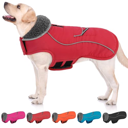 SUNFURA Hunde-Wintermantel, mittelgroße Hundejacke mit Fleecefutter für kaltes Wetter, warme Pufferjacke, Rollkragen, Schneeanzug mit Loch für die Leine für Jack Russel, Boston Terrier, Rot, Größe M SUNFURA Hunde-Wintermantel, mittelgroße Hundejacke mit Fleecefutter für kaltes Wetter, warme Pufferjacke, Rollkragen, Schneeanzug mit Loch für die Leine für Jack Russel, Boston Terrier, Rot, Größe M von SUNFURA