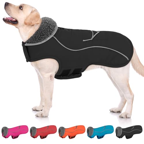 SUNFURA Hunde-Wintermantel, mittelgroße Hundejacke mit Fleecefutter für kaltes Wetter, warme Pufferjacke, Rollkragen, Schneeanzug mit Loch für die Leine für Jack Russel, Boston Terrier, Schwarz, Größe SUNFURA Hunde-Wintermantel, mittelgroße Hundejacke mit Fleecefutter für kaltes Wetter, warme Pufferjacke, Rollkragen, Schneeanzug mit Loch für die Leine für Jack Russel, Boston Terrier, Schwarz, Größe von SUNFURA