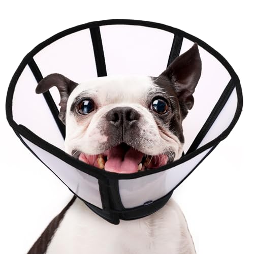 SUNFURA Hundekegel, weicher Kegel für Hunde, um das Lecken zu stoppen, transparentes Haustier-Genesungshalsband mit abnehmbarem klarem Schild, Hals E-Halsband Alternative für kleine Rassen, Schwarz S SUNFURA Hundekegel, weicher Kegel für Hunde, um das Lecken zu stoppen, transparentes Haustier-Genesungshalsband mit abnehmbarem klarem Schild, Hals E-Halsband Alternative für kleine Rassen, Schwarz S von SUNFURA