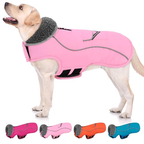 SUNFURA Kleiner Hundemantel, warme Hundejacke mit Loch für die Leine mit Reißverschluss für kaltes Wetter, reflektierender Hunde-Wintermantel, Hunde-Fleecejacke mit verstellbarem Pelzkragen für kleine SUNFURA Kleiner Hundemantel, warme Hundejacke mit Loch für die Leine mit Reißverschluss für kaltes Wetter, reflektierender Hunde-Wintermantel, Hunde-Fleecejacke mit verstellbarem Pelzkragen für kleine von SUNFURA