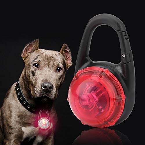 SUNGOOYUE Pet Luminous Collar Anhänger Helles Schnelles/langsam Blinkendes Nachtsicherheits Halskette für Hunde (Rot) von SUNGOOYUE