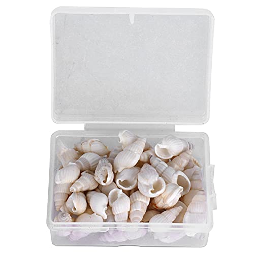 SUNGOOYUE Sea Snail Natürliche DIY -Muschelschmuck Kunsthandwerk Home Hochzeit Dekorationen Dekoration, Umweltfreundlich und Praktisch, für DIY -Liebhaber und Handwerkshandwerk SUNGOOYUE Sea Snail Natürliche DIY -Muschelschmuck Kunsthandwerk Home Hochzeit Dekorationen Dekoration, Umweltfreundlich und Praktisch, für DIY -Liebhaber und Handwerkshandwerk von SUNGOOYUE