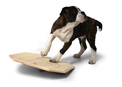 SAUERLAND Holz-Wackelbrett für Welpen ca. L 40 x B 40 x H 10 cm, Hundespielzeug von SAUERLAND