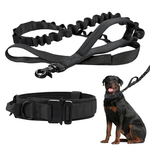 Taktisches Hundehalsband mit Kontrollgriff, Verstellbare Hunde Halsband, Verstellbares Nylon Halsband für Kleine bis Große Hunde, Schwarz Taktisches Hundehalsband mit Kontrollgriff, Verstellbare Hunde Halsband, Verstellbares Nylon Halsband für Kleine bis Große Hunde, Schwarz von SUNOYA