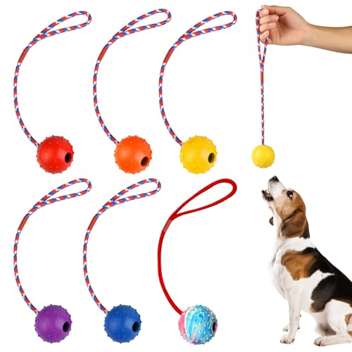 Hundeball mit Schnur, 6 Stück Ball am Seil Naturkautschuk, Hundespielzeug Ball, Wurfball Hund, Ball für Hunde, Bälle Spielzeug am Seil für Hunde, Ideal für Große & Kleine Hunde (5 cm) von SUNOYA
