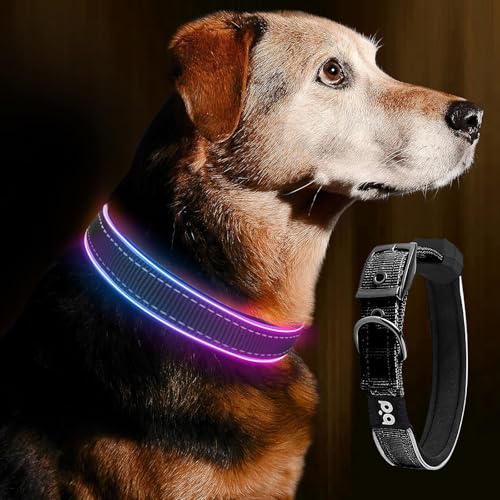 Leuchthalsband Hund, Wasserdicht Hundehalsband Leuchtend, USB LED Hundehalsband, Leuchtend Halsband, leuchtendes Halsband für Hunde, Einstellbare Größe, 3 Beleuchtungsmodi für Kleine Mittlere 44-54cm Leuchthalsband Hund, Wasserdicht Hundehalsband Leuchtend, USB LED Hundehalsband, Leuchtend Halsband, leuchtendes Halsband für Hunde, Einstellbare Größe, 3 Beleuchtungsmodi für Kleine Mittlere 44-54cm von SUNOYA