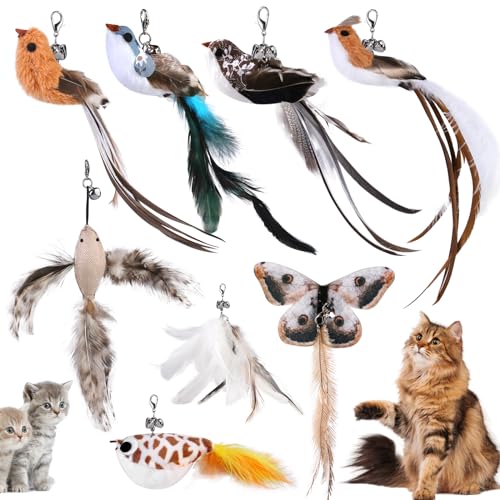 SUNOYA Ersatzfedern für Katzenspielzeug, 8 Stück Katzenspielzeug Vogel Ersatzset für Katzenangel Interaktives Katzenspielzeug Intelligenz Katzen Spielzeug mit Glocke von SUNOYA