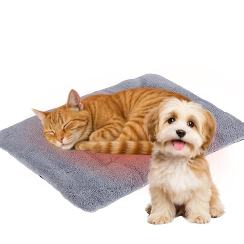 SUNOYA Selbstheizende Decke Katze, Hundematte, Hundedecke 70x45cm Weiche Wärmedecke für Katzenbett oder, Waschbar Rutschfestes Haustier Wärmekissen für Innen und Außen, Silbergrau SUNOYA Selbstheizende Decke Katze, Hundematte, Hundedecke 70x45cm Weiche Wärmedecke für Katzenbett oder, Waschbar Rutschfestes Haustier Wärmekissen für Innen und Außen, Silbergrau von SUNOYA