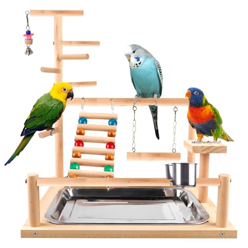 Vogelspielzeug, Papageienspielzeug, Wellensittich Spielzeug, Spielplatz Mit Feeder-Cup Spielzeug Leiter Erklimmen Schaukel Und Tablett Vogelschaukel Sitzplatz Für Sittiche Nymphensittich, 37x26x44CM von SUNOYA