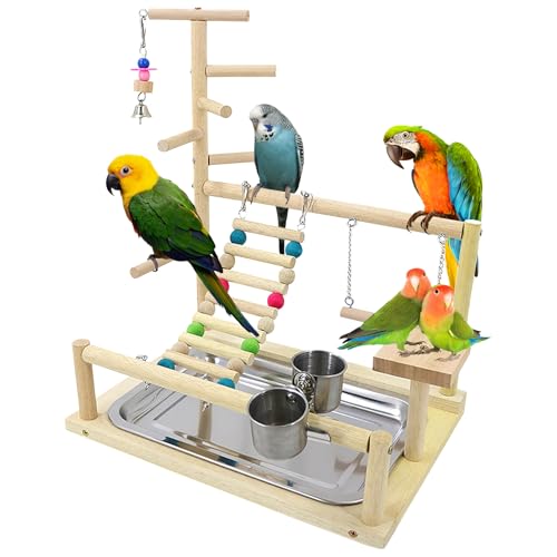Vögel Spielplatz, Wellensittich Spielplatz Vogel-Spielplatz, Papageienspielständer Mit Feeder Cup Und Tablett, Vogel-Papageien-Spielzeug, Papageien Vogel Spielplatz (44x37x26 cm) von SUNOYA
