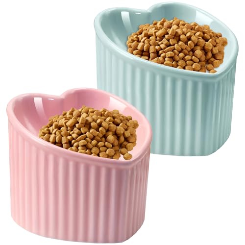 SUNQEBO Erhöhte Katzennäpfe, erhöhter Katzennapf für Indoor-Katzen, niedliches Herz, Keramik, geneigt, Welpenfutter-Set, Zubehör, Schnurrhaarfreundlich, Anti-Erbrochenes, 2 Stück, Rosa + Hellgrün von SUNQEBO