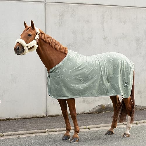 SUNRIDE Abschwitzdecke “Wellington” für Pferde aus weichem Fleece (280g/m²) - schnelltrocknend und leicht (105 cm, Olive) von SUNRIDE