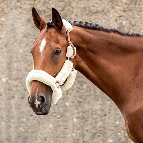 SUNRIDE Fellhalfter für Pferde (Dover) mit Strick - aus Echtleder - verstellbar (Pony, braun) von SUNRIDE