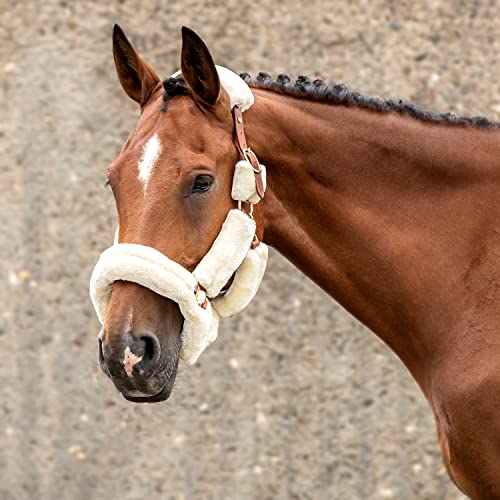 Sunride Fellhalfter für Pferde (Dover) mit Strick - aus Echtleder - verstellbar (Pony, braun) von SUNRIDE