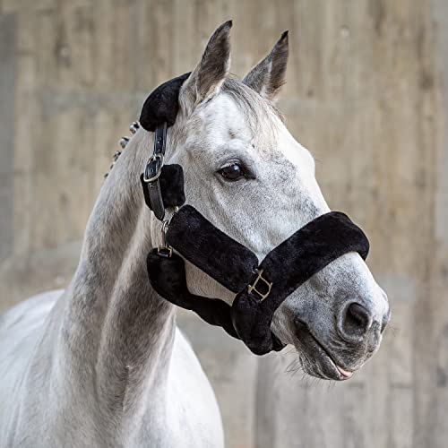 SUNRIDE Fellhalfter für Pferde (Dover) mit Strick - aus Echtleder - verstellbar (Pony, schwarz) von SUNRIDE