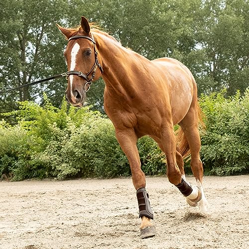 SUNRIDE Kappzaum aus Echtleder - mit Zügel - sanfte Führung für eine harmonische Verbindung (Cob, braun) von SUNRIDE